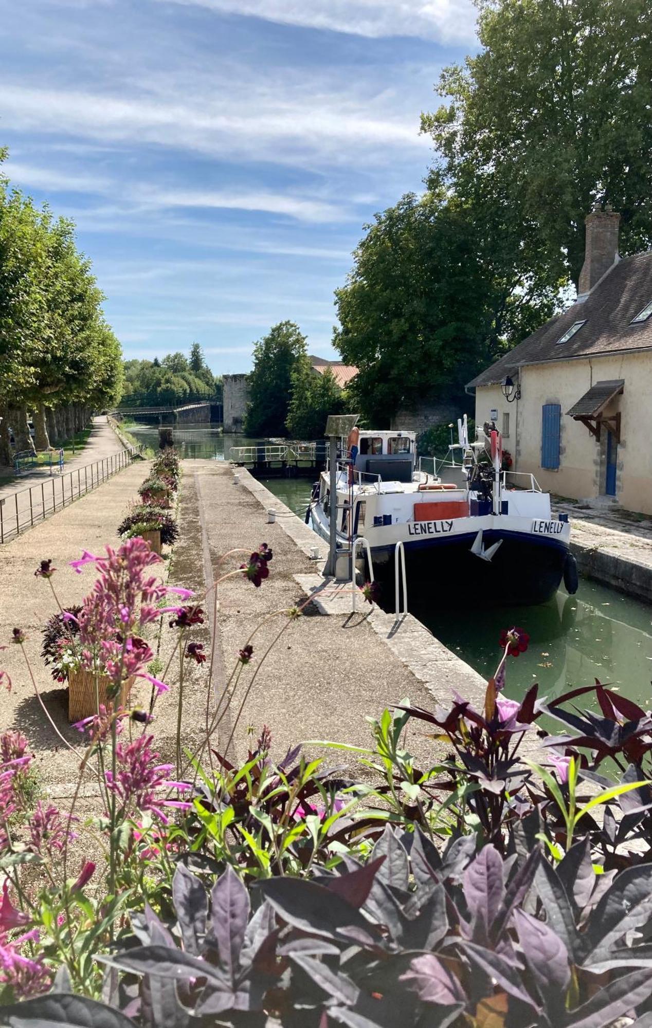 La Maison Virginie 1 A 2 Pers Charmant Hyper Centre- Cour- Parking- Linge- Fibre- Proximite Lac Canal Piscine Montargis Exterior foto